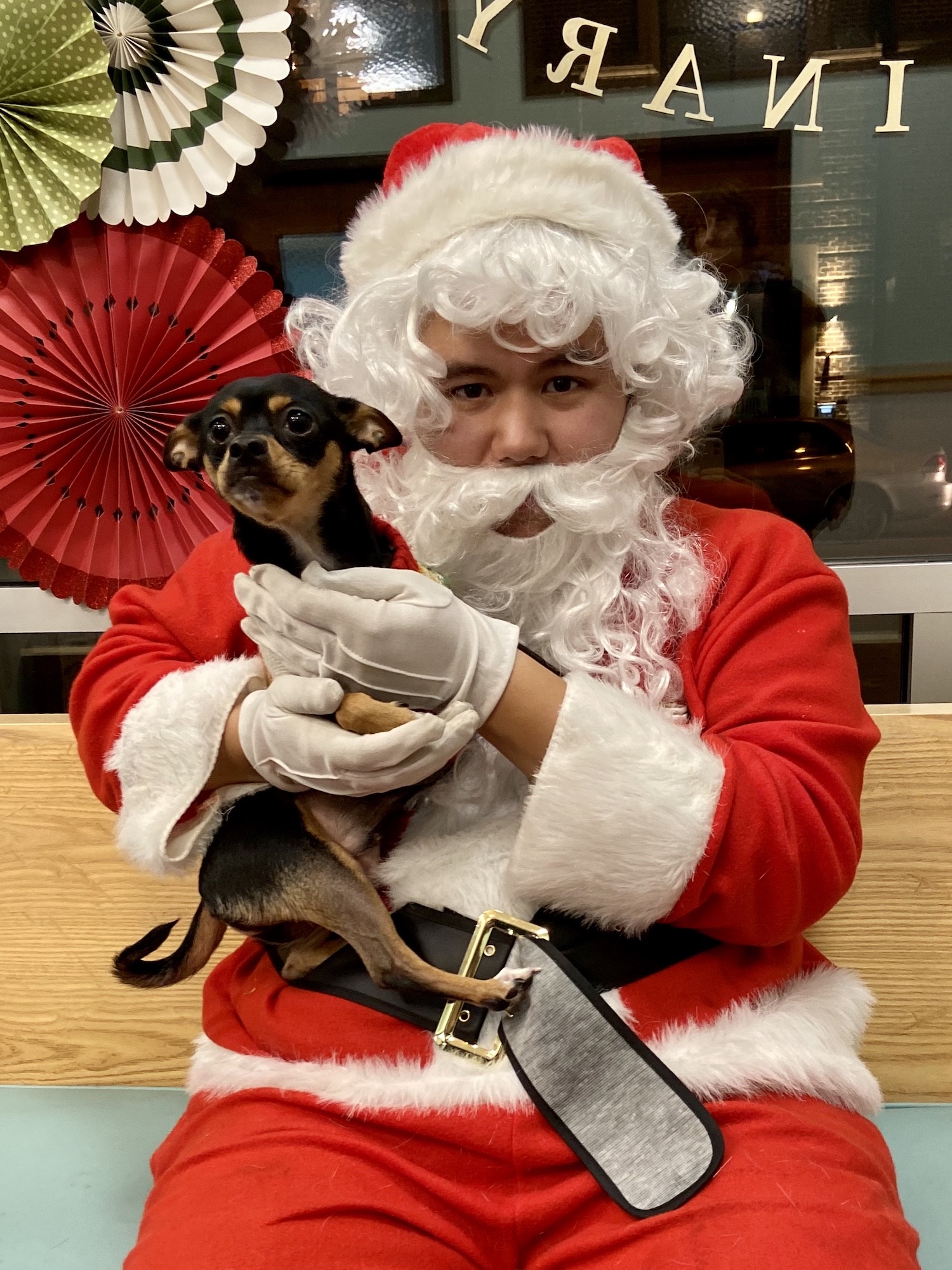 Basil with Santa.